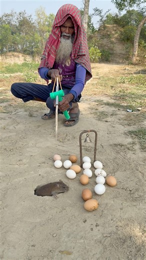 Rat Hunting Method With Arrow Traps 03 #farming #agriculture #rattrap #animals