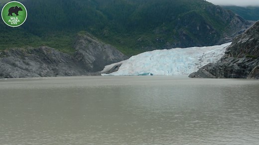 Incredible eight year timelapse of glacier retreating