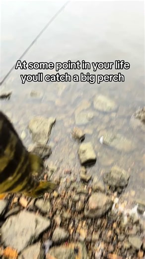 Catch and Release Perch Fishing Tips