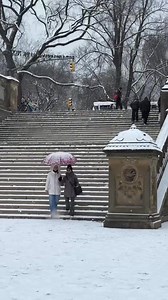 Central Park’s first snow of 2025—nature’s winter wonderland has arrived. Watch as the city’s heartbeat slows down ❄️🎄🌆 #newyork #snowflake #nycsnowstorm #nyc #centralpark #snowday | New York Story