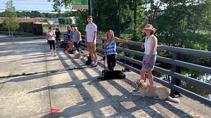 13K views · 160 reactions | Day 5 of T3 Launch... Working students, clients, and even the public on leash and prong, e-collar, reactivity, using space. Using the right tools and strategies, ensuring the owners have a plan and guidance, and using a group of supportive handlers can be an amazing training opportunity. | The Good Dog Training And Rehabilitation | Facebook