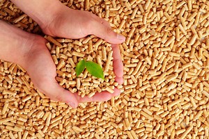 Quels granulés de bois (pellets) choisir, feuillus ou résineux ?