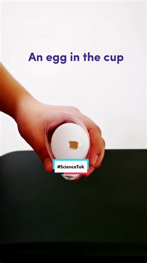Amazing Egg 🤩 #CoolStemTok #ScienceTok #stemtok #experiment #science #LearnOnTikTok #TikTokTaughtMe #didyouknow #tiptok #TeachersOfTikTok #gauthmath #Gauthmaths #gauthkus