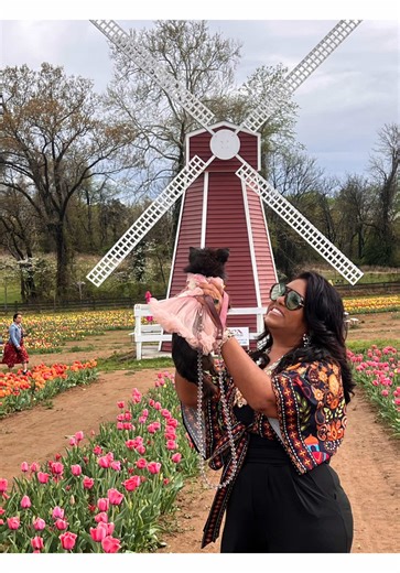 Happy Easter Everyone I had a wonderful day picking #tulips on a farm with CoCo . April 2026