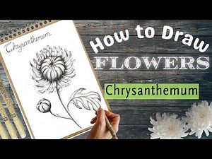 How to draw a realistic Chrysanthemum Flower | Step by step drawing tutorial for beginners