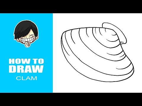How to draw a Clam