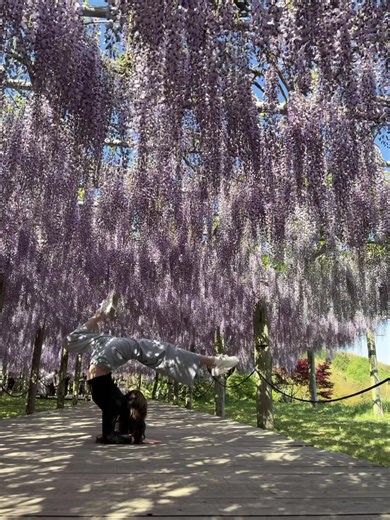 Pole Dance and Acrobatics in Japan