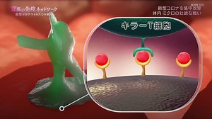 BS1スペシャル　シリーズ人体「驚異の免疫ネットワーク〜新型コロナとの戦い」感染拡大が止まらない新型コロナウイルス。危機を乗り越える鍵はあなたの体に備わった「免疫」の力にあった！最新科学で人体ＶＳウイ