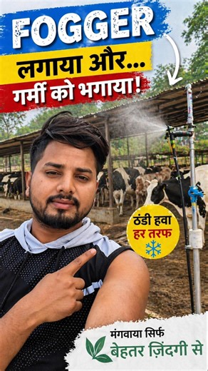 45°C गर्मी में फार्म को AC जैसा कैसे बनाया? 😳 #dairyfarming #fogger #dairyfarm #summershorts