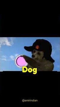 Cruelty Beyond Imagination: Shocking Acts of Animal Abuse That Outraged the Internet