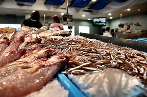 Why do people hate fish and seafood? [2025] | QAQooking.wiki