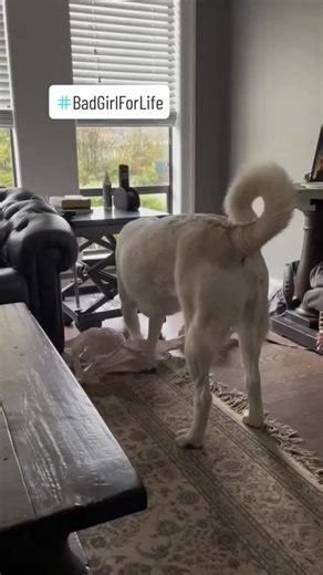 Happy hump day! #onthisday