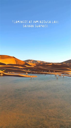 The beauty of the Moroccan Great Sahara 🇲🇦🐪🐫 Credit:@inmerzouga (IG) | Morocco Travel