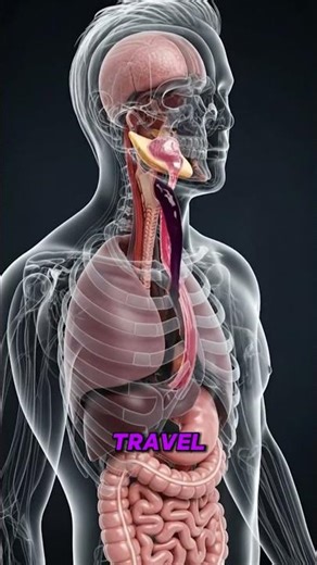 Fresh Plum Juice Recipe | Natural Detox Drink for Glowing Skin & Weight Loss