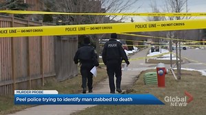 Young man in Mississauga found dead in quiet neighbourhood