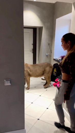 1.7M views · 9.3K reactions | Me and my cats make up  | Puma London | Facebook