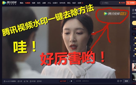 腾讯视频logo水印是怎么去除的，看过视频你就学会了