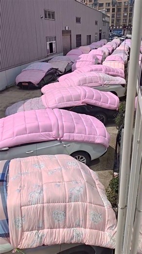 Parking Lot Prepared For Hail | A Solution That Saves Cars