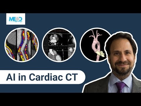 AI in Cardiac CT: Coronary CT Interpretation, TAVI Planning, and Inflammation Detection