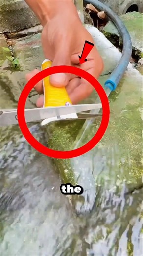 This Toothpaste Tube Hack is Pure Genius 🤯 #diy