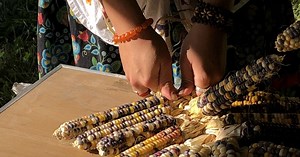 19 flavorful events to celebrate the fall season