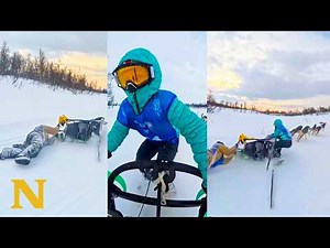 Dog sled race goes wrong | Watch her heroic response