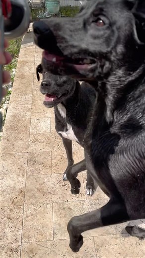 Hose day whoohooo 💦