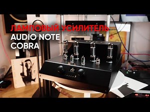 Дроп и трепет: ламповый усилитель Audio Note Cobra играет дабстеп