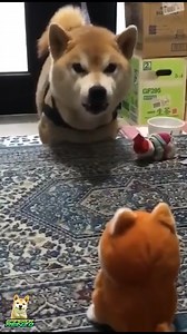 210K views · 5.9K reactions | the best fights are personal | Emperor Renzo | Facebook