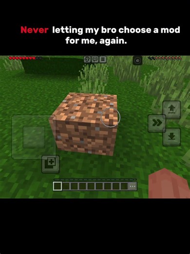 Never letting my bro choose a mod for me again! #mods #minecraft #minecraftpe #shorts #funny