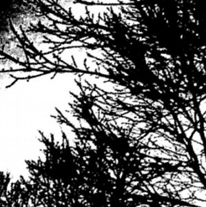 Various - @deafpixels OST: First Arch