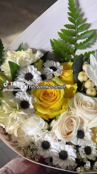 Fresh Sends on TikTok