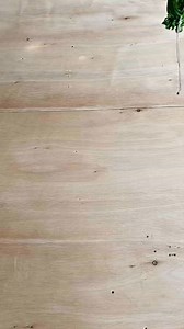 making a mango picker #tips #tricks #tools #reels | Tips Tool