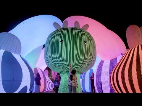 Airship Orchestra | Trailer | Auckland Live & ENESS