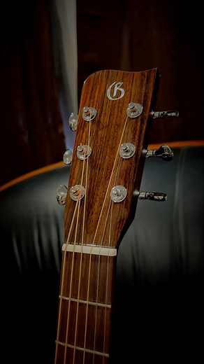 The Gallagher GA-60. | Gallagher Guitar