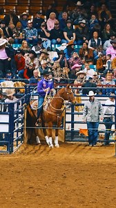 The Cali cowboy Brushton Minton 8.3 at National Western Stock Show 🎥: Dillon Nockideneh #LFR | Let's Freakin' Rodeo
