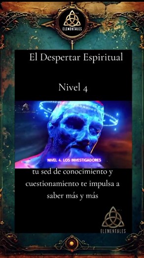 Meta Elementales on TikTok