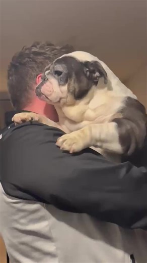 Mia's Inspiring Journey: From Rescued to Beloved Companion