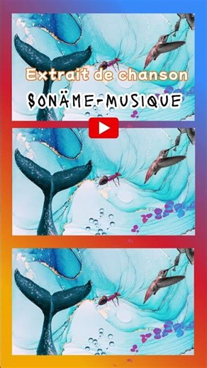 Anima génie - Sonäme musique
