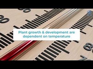 Sustainable Hydroponics Production Training Video