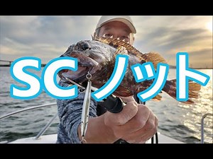 SCノットの結び方・釣り場対応、簡単・強い