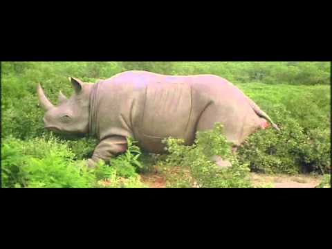 Ace Ventura 2 - Rhino Birth Scene