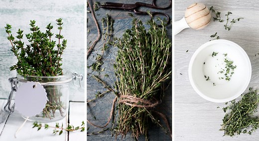 Comment faire sécher et conserver le thym ?