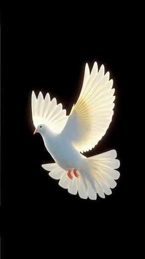 "🕊️ Epic Dove Flight! | A Flying Moment That Feels Magical ✨🌍"