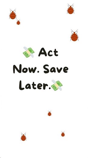 Stop Bed Bugs Before It Costs You Big!