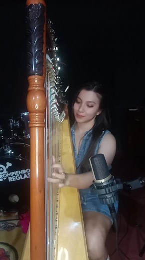 I have a dream, Estoy soñando (Abba) Creo en angelitos 🥰 . . . . #Abba #ihaveadream #EstoySoñando #creoenangelitos #chiquita #Fernando #instrumental #arpa #harp #arpaparaguaya #paraguay #music #musicaenvivo #80s #90s #Classic | Dina Celeste Music