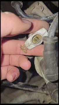 How to remove the distributor? How to adjust the ignition timing?