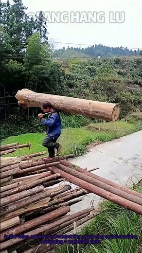 Manual Log Carrying: Traditional Timber Transport by Human Power"