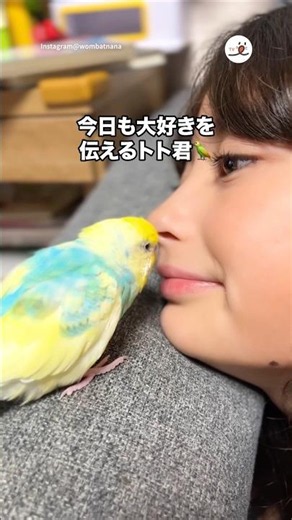 今日も大好きを伝えるインコ🦜｜PECO