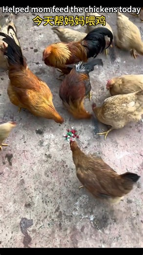 The Astro Code on Instagram